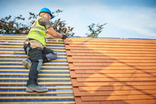 Best Roof Moss and Algae Removal  in Capitan, NM